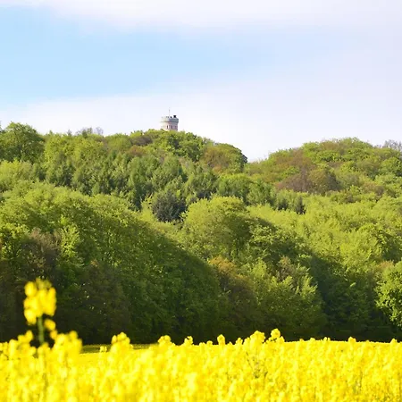In A Lakeside Park In With A Balcony Sellin (Rugen)