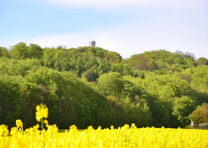 In A Lakeside Park In With A Balcony Sellin (Rugen)